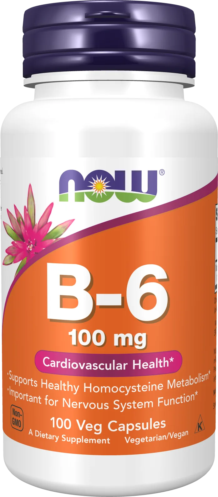 NOW Foods – B-6 100 mg – 100 capsules végétariennes