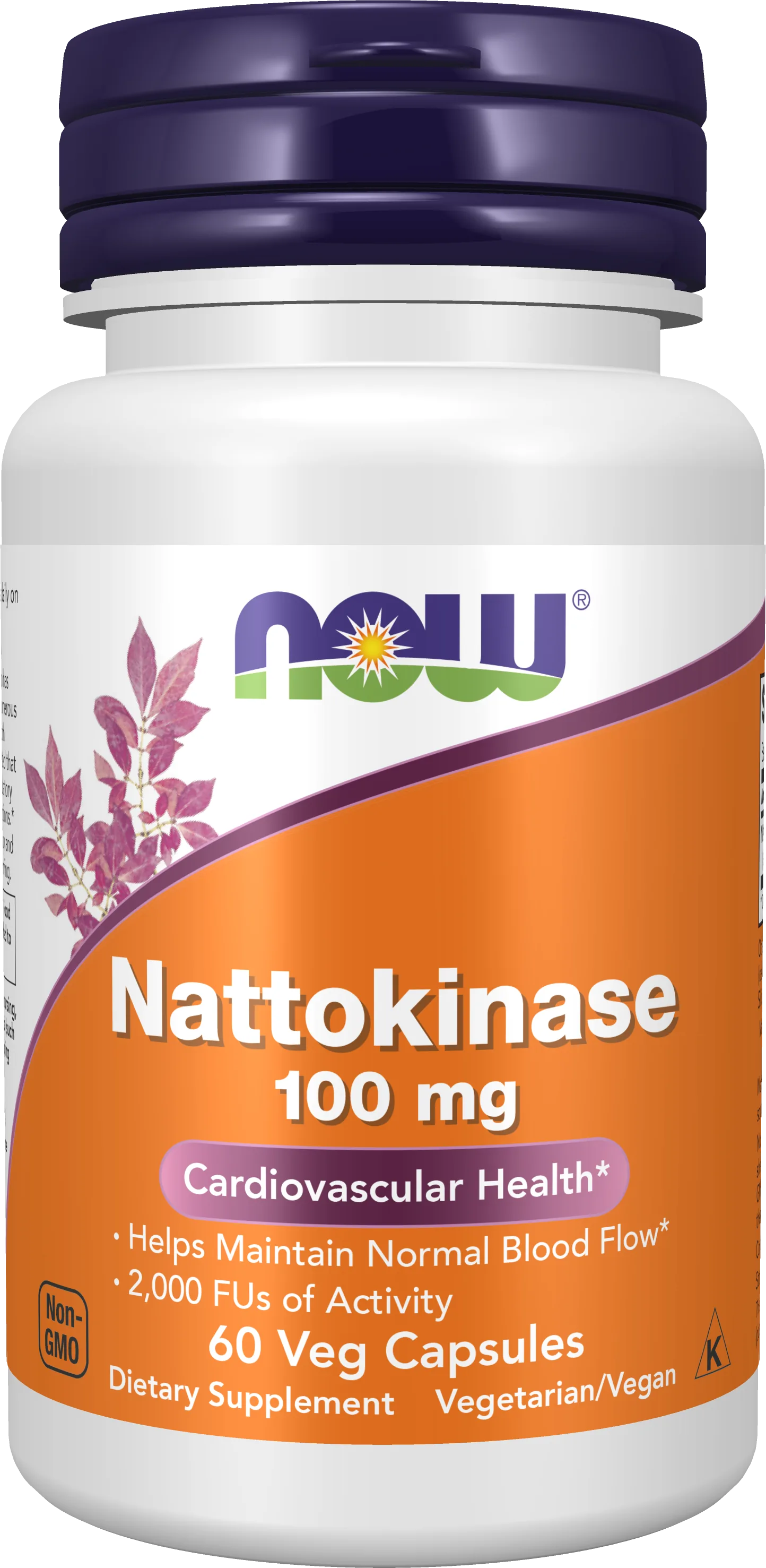 NOW Foods Nattokinase 100mg – Santé Cardiovasculaire 60 Gélules