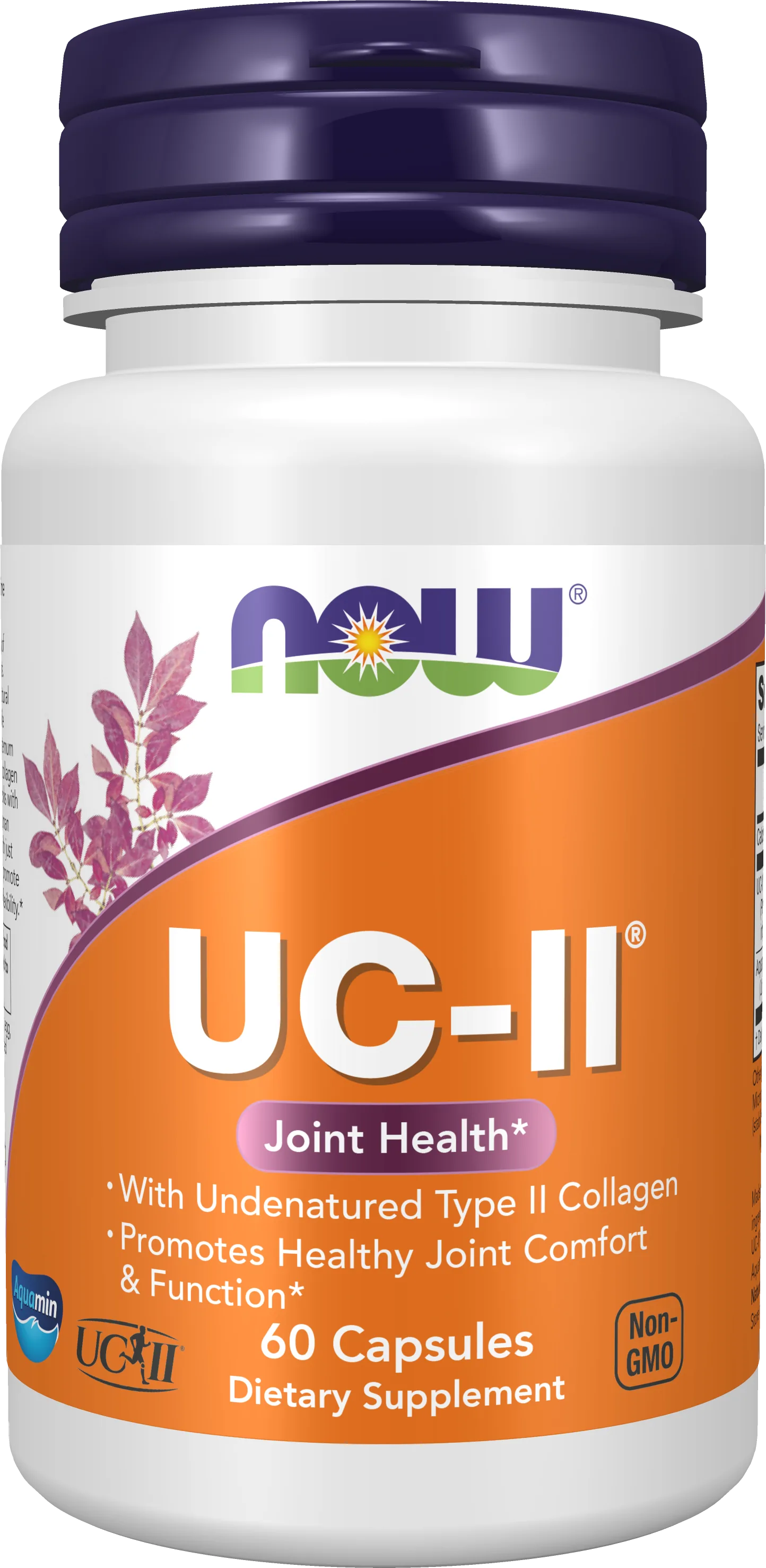 NOW Foods – UC-II Joint Health avec collagène de type II non dénaturé – 60 capsules