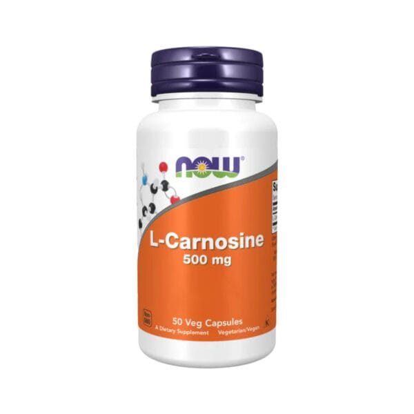 Une bouteille blanche de NOW Foods L-Carnosine 500 mg comporte une étiquette orange et contient 100 gélules végétariennes pour un soutien pratique de la l-carnosine.