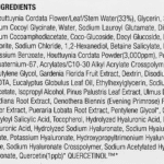 Détail de composition Anua Heartleaf Quercetinol Cleansing Foam, 150 ml