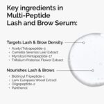Infographie des principaux actifs du sérum The Ordinary Multi-Peptide Lash & Brow